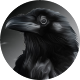 دانلود Raven BrowserPRO – اپدیت مرورگر کلاغ برای اندروید