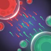 دانلود Cell Expansion Wars – بازی استراتژیک نبرد گسترش سلول ها اندروید + مود